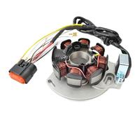 Encendido Magneto Bobina Bobina De Estator para Gas Gas EC125 05-06 EC200 EC250 EC300 2005-2008 ME250534005 EC 125 250 200 300 Bobina Magneto Generador De Encendido