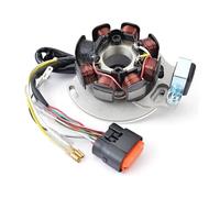 Encendido Magneto Bobina Bobina De Estator para Motocicleta para Gas Gas EC125 EC 125 EC200 EC 200 EC250 EC 250 EC300 2005-2008 OEM ME250534005 Encendido