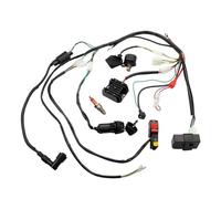 Encendido Magneto Estator para 50cc 70cc 90cc 110cc 125cc Arranque Eléctrico Magneto Volante Estator ATV Arnés Cables Quad Arnés Cables CDI Kit Magneto Estator Eléctrico