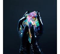 Enchanted by the Muse [Vinilo]