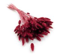 Enchanted Césped decorativo hierba seca hierba ornamental cola de conejo lagurus ovatus hierba de terciopelo, hierba de conejo, hierba seca, flores secas naturales Boho 120 - 150 unidades 100 g vino