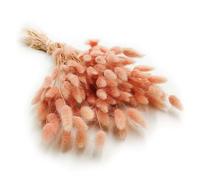 Enchanted Césped decorativo hierba seca hierba ornamental cola de conejo lagurus ovatus hierba de terciopelo de conejito cola hierba seca flores naturales Boho 120 - 150 unidades 100 g rosa salmón