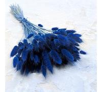 Enchanted Césped decorativo hierba seca hierba ornamental cola de conejo lagurus ovatus hierba de terciopelo de conejito cola hierba seca flores naturales Boho 120 - 150 unidades 100 g azul oscuro