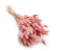 Enchanted Césped decorativo hierba seca hierba ornamental cola de conejo lagurus ovatus hierba de terciopelo de conejito cola hierba seca flores naturales Boho 120 - 150 unidades 100 g rosa