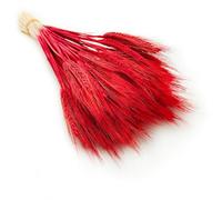 Enchanted Césped decorativo triticale hierba seca hierba decorativa natural rojo