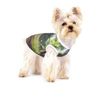Enchanted Forest Path - Camiseta de alta calidad para perro, suave 100 % algodón, perfecta para perros pequeños a medianos, camisas elegantes y cómodas para perros, talla L