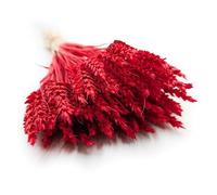 Enchanted Hierba decorativa de trigo, hierba seca, hierba decorativa, color rojo natural