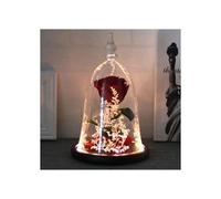 Enchanted Rose, Beauty and the Beast, Eternal Red Rose with LED Lights, Magical Beauty and the Beast Decoration, Valentine's Day Gifts