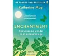 Enchantment: Reconnecting in an Anxious Age