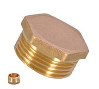 Enchufe,Conexiones | Tapones de tubo con rosca hexagonal exterior | Adaptador de manguera, conector ciego portátil, tapón de tubería de agua para petróleo, petroquímica, elaboración de cerveza