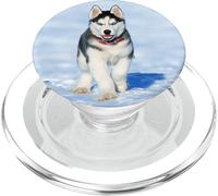 Enchufe de Montaje Husky Pop Cool Alaskan Dog en la Nieve PopSockets PopGrip para MagSafe