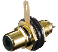 Enchufe de panel dorado hembra RCA (anillo negro)