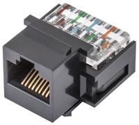 Enchufe hembra RJ45 a presión