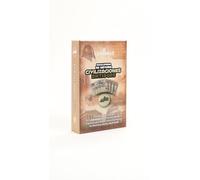 Enciclopedia de historia civilizaciones medievales (Estuche 32 Cartas)