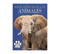 Enciclopedia los Animales 128pág. 23x31