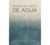 Encima Del Techo De Agua