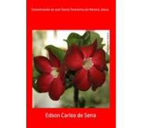 Encontrando-se Com Santa Terezinha Do Menino Jesus (ebook)