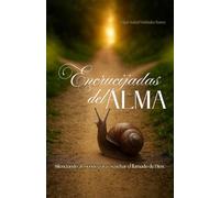 Encrucijadas del Alma: Silenciando al mundo para escuchar el llamado de Dios