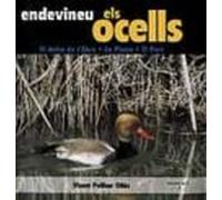 Endevineu Els Ocells