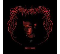 Endgame - Surrender [Vinilo]