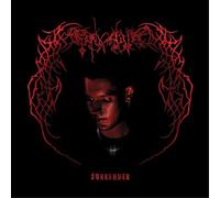 Endgame - Surrender [Vinilo]