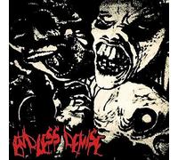 Endless Demise - Split [Vinilo]
