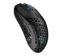 ENDORFY LIX Wireless, Ratón inalámbrico Ligero para Juegos, Sensor PixArt PAW3335, 16 000 dpi, Kailh GM 4.0 | EY6A008