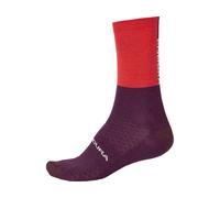 Endura Calcetines de invierno BaaBaa Merino rojo/lila