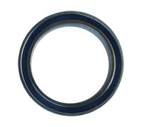 Enduro Bearings Rodamiento ranurado de bolas 6704 20 mm x 27 mm x 4 mm Tipo 1