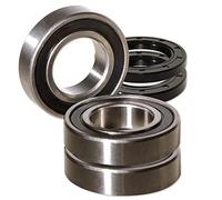 endurocult - Kit de rodamientos de rueda trasera compatible con Suzuki DR 250 SE / 350 SE / 650 SE/XF 650 Freewind.