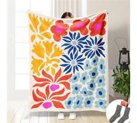 ENEN Mantas para Sofa Cama de Microfibra Franela, Otoño Suave Manta para Cama Felpa Invierno Blanket para Mascota Cama Habitacion Dormitorio (75 * 100CM,Arte)