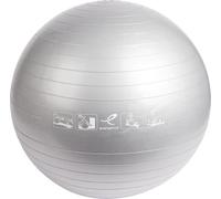 Energetics Unisex Gymnastic Balones de Gimnasia Silver 65 cm