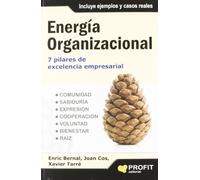 Energía organizacional: 7 pilares de excelencia empresarial (SIN COLECCION)