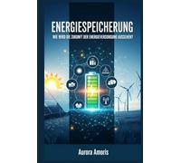 Energiespeicherung: Wie wird die Zukunft der Energieversorgung aussehen?