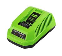 Energy - Cargador de repuesto de 40 V para Greenworks - Apto para baterías Greenworks