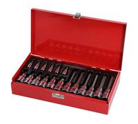 ENERGY NE00191 Kit de puntas de tornillo