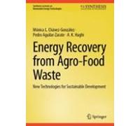 Energy Recovery From Agro-food Waste