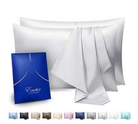 ENETIX - Juego de 2 Fundas de Almohada de satén de Seda de Lujo para cuidar el Cabello y la Piel, con Cremallera Oculta, antiacné, con Paquete de Regalo, de tamaño Queen (50 x 76 cm), Blanco Plateado