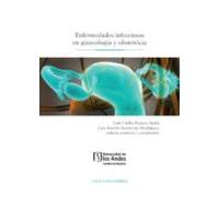 Enfermedades Infecciosas En Ginecología Y Obstetricia (ebook)