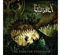 Enforsaken - The Forever Endeavor
