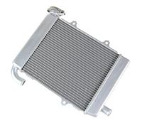 Enfriador de aceite Radiador Compatible Con GL1800 2018 2019 2020 2021 2022 2023 Accesorios De Motocicleta Radiador Enfriador Protector De Tanque De Agua De Enfriamiento Refrigerante 1 PC(Right)