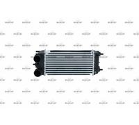 Enfriador de aire de carga NRF NRF30979