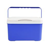 Enfriadores de camping, baúl portátil aislado de 6 L, cofres de hielo y enfriadores con asa, para exteriores, automoción, camping, senderismo, viajes, viajes de negocios, picnic