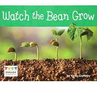 Engage Literacy Yellow - Extension B: Watch the Bean Grow