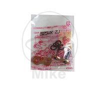 Enganche para remache 525Vx2 Gold Did