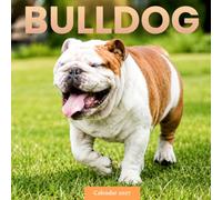 English Bulldog Calendar 2027: Dog Portraits and Home Scenes