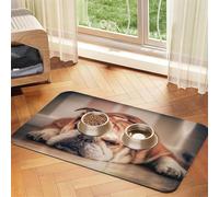 English Bulldog,Waterproof Pet Feeding Mat,PU Leather Placemats for Cat Dog Water Bowl,Food Mats,40x60cm