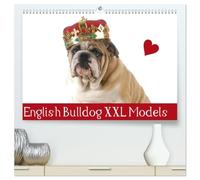 English Bulldog XXL Models (hochwertiger Premium Wandkalender 2026 DIN A2 quer), Kunstdruck in Hochglanz: Starke Models in "High Fashion"!