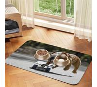 English Bulldogs Bokeh Skateboard Pets English,Waterproof Pet Feeding Mat,PU Leather Placemats for Cat Dog Water Bowl,Food Mats,40x60cm