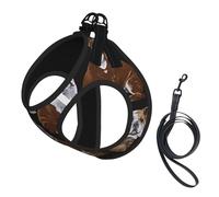 English Bulldogs - Juego de arnés y correa para perros pequeños, chaleco suave ajustable con correas reflectantes de 360° para gatos y cachorros